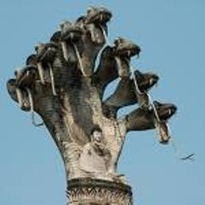 Image Image