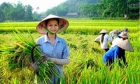 Hồ Thị Hà. Giá trị đạo đức truyền thống trong xây dựng lối sống phụ nữ nông thôn