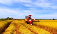 Nguyễn Quang Thuấn. Tích tụ, tập trung đất đai cho phát triển nông nghiệp ở Việt Nam trong điều kiện mới
