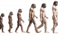 Tại sao loài Homo Sapiens sống sót đến kỷ nguyên hiện đại? Những người trụ lại cuối cùng