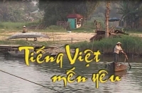 Trần Ngọc Thêm. Tiếng Việt thời cửa mở…