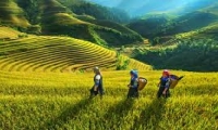 Hoàng Thị Lan. Những hiện tượng mới trong quan hệ dân tộc - tôn giáo ở vùng dân tộc thiểu số khu vực Tây Bắc nước ta hiện nay