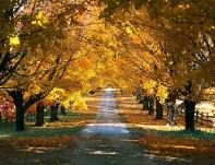 Hình đại diện của thành viên