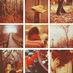 Hình đại diện của thành viên