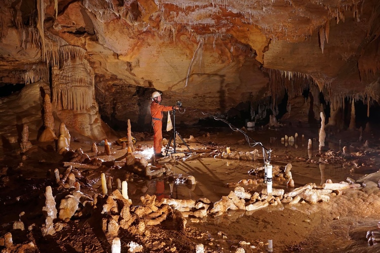 Homosapiens anh 4 