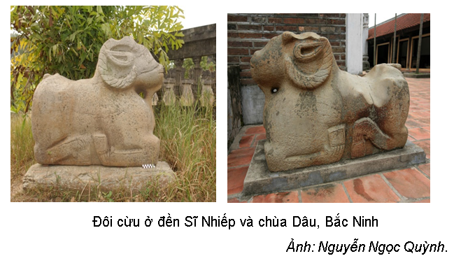 Anh huong VH AD 01