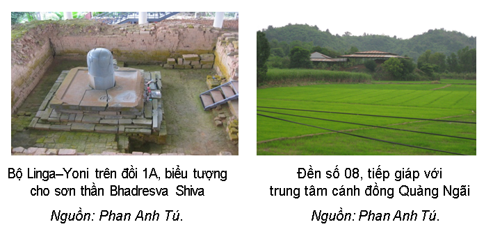 Rung co Cat Tien 03