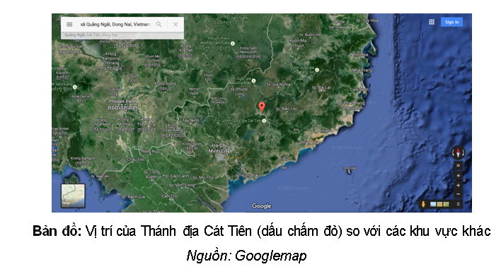 Rung co Cat Tien 06