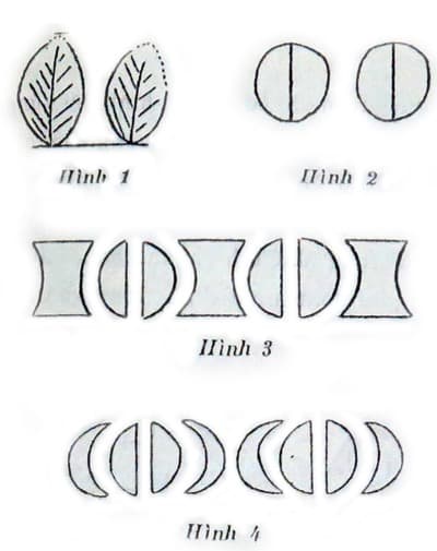 6hvfn8
