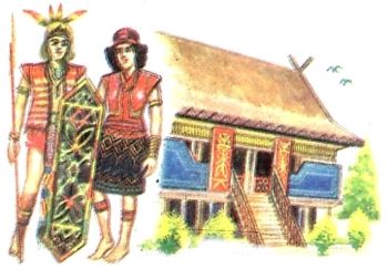 Image Image