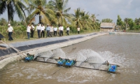 Thạch Nam Phương. Nhận diện di sản văn hóa phi vật thể: nghề nuôi tôm ở Cà Mau