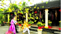 Văn hoá Tết Việt qua video