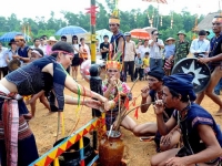 Đào Huy Quyền. Những biến đổi về cơ cấu xã hội và bản sắc văn hóa trong quá trình đổi mới của các dân tộc bản địa ở Tây Nguyên Việt Nam (trường hợp tỉnh Gia Lai)