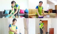 Đào Thị Mai Ngọc. Lao động giúp việc gia đình tại Việt Nam