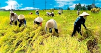 Trần Văn Chánh. Văn chương tiểu học của miền Nam trước đây