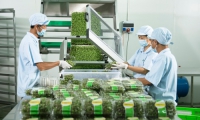 Lê Quý Đức. Về sự liêm chính trong kinh doanh và văn hóa doanh nghiệp hiện nay