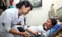 Phạm Ngọc Trung. Dịch vụ gia đình ở Việt Nam, nhìn từ góc độ văn hóa