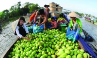 Nguyễn Thị Kim Tiến. Tính cách Nam Bộ qua tác phẩm của Sơn Nam và Mạc Can