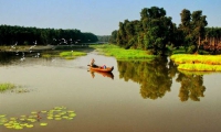 Võ Quốc Việt. Bước đầu khám phá văn chương Trần Bảo Định
