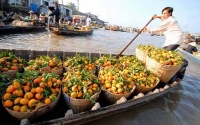 Trần Minh Thuận.  Giao lưu và tiếp xúc văn hoá của cư dân vùng ĐBSCL trong lịch sử