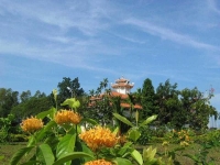 Nguyễn Hữu Hiếu. Vùng đất Tầm Phong Long