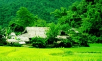 Phạm Thị Oanh. Trở về tự nhiên - Một sự phản ứng của nền văn minh