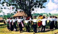 Phan Hữu Dật. Cây chu đồng trong thần thoại Mường và tôtem cây...