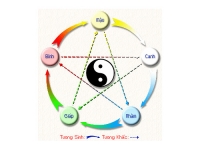 Y học dân tộc: học thuyết ngũ hành