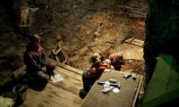 Matthew Warren. Phát hiện con lai giữa người Neanderthal và Denisova
