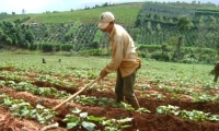 Nguyễn Chiến Thắng, Lý Hoàng Mai. Khung chính sách liên quan đến chức năng kinh tế của gia đình Việt Nam 1986 – 2016: Thực trạng và vấn đề